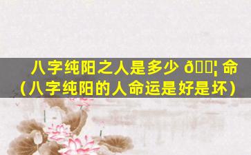 八字纯阳之人是多少 🐦 命（八字纯阳的人命运是好是坏）